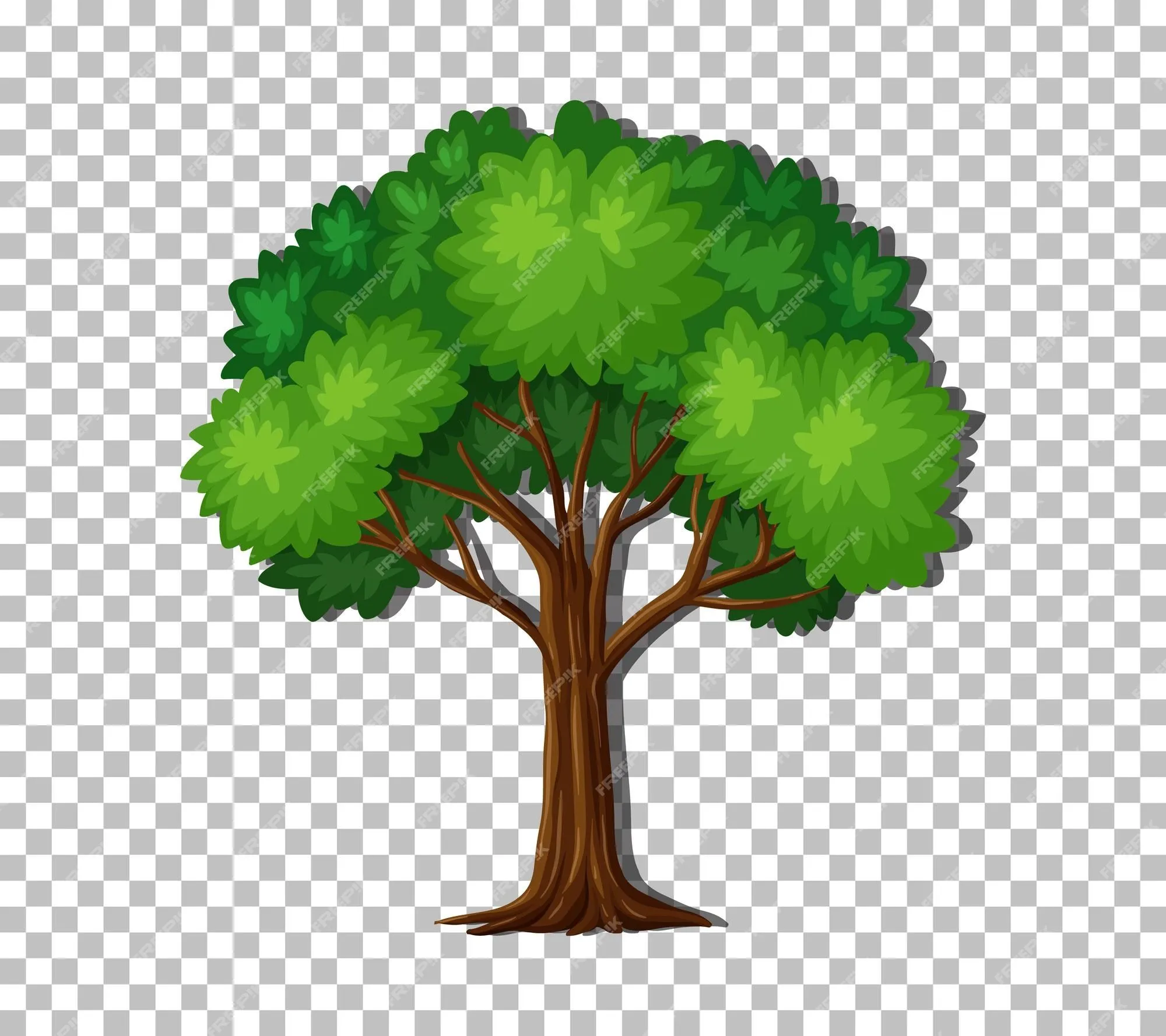 Imágenes de Arbol Png - Descarga gratuita en Freepik Imágenes de Arbol Png - Descarga gratuita en Freepik