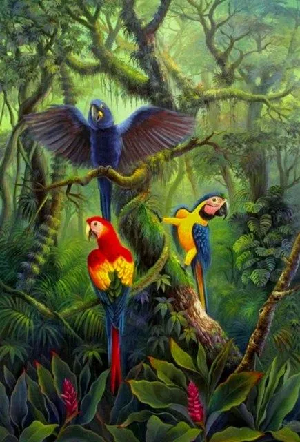 Imágenes Arte Pinturas: Galeria: Paisajes con guacamayas