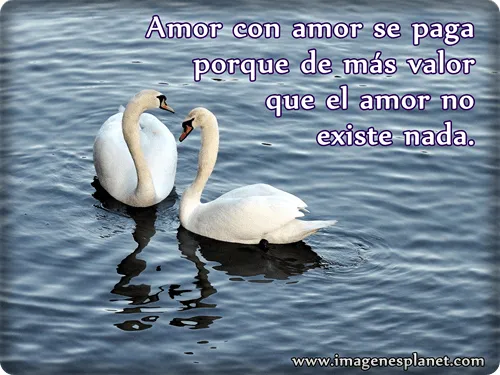 imagenes+de+aves+con+frases++y ...