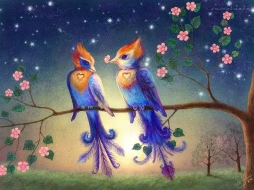 Imagenes De Aves Romanticas De Amor