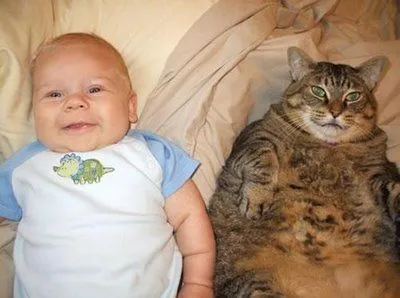 Imagenes de bebés gordos - Imagui