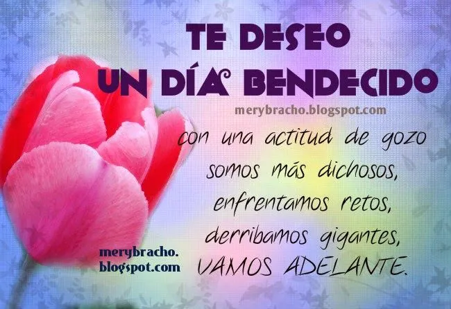 Imagenes bellas de amor: Hermosas imágenes con frases de que ...