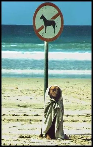 Imágenes bellas en general: Imágenes Comicas