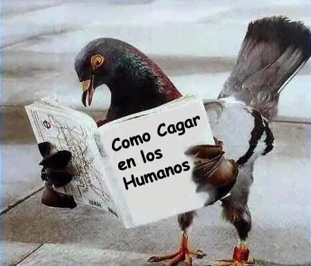 Imágenes bellas en general: Imágenes Comicas