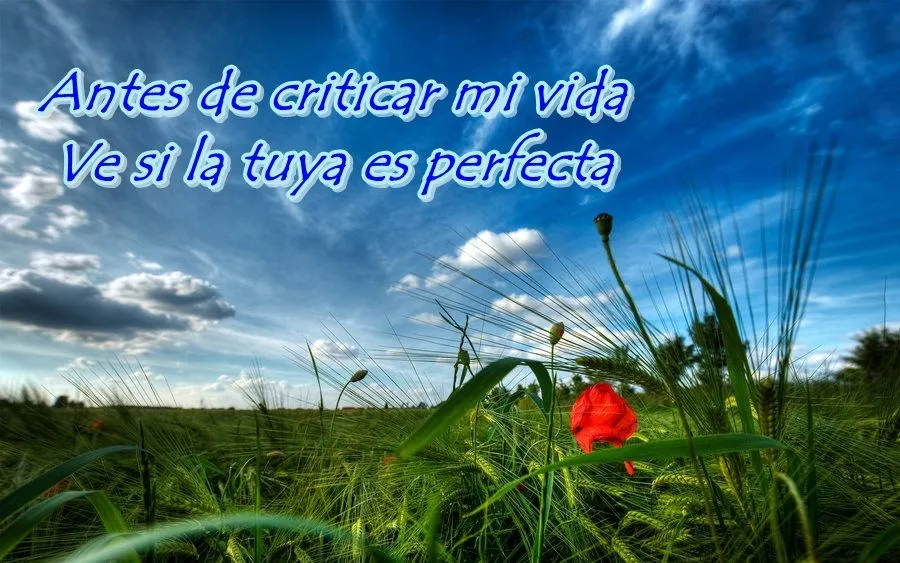 Imágenes bellas en general: Imágenes Con Dichos Imágenes bellas en general: Imágenes Con Dichos