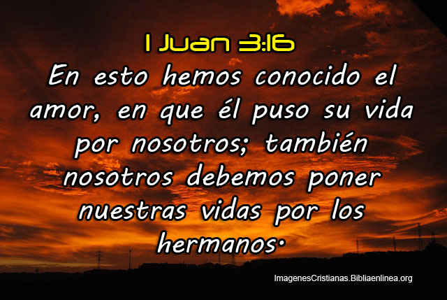 Imagenes de la Biblia con Pasajes del Amor - Imagenes Cristianas Imagenes de la Biblia con Pasajes del Amor - Imagenes Cristianas