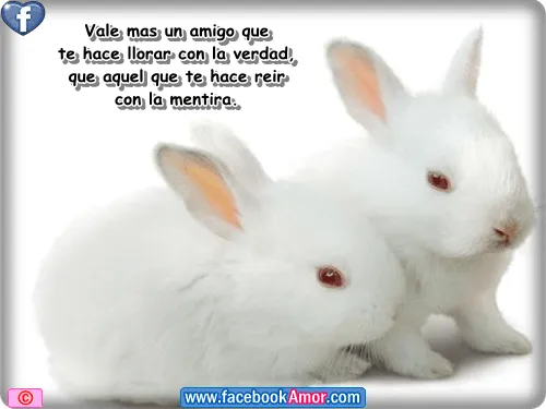Imagenes bonitas de amistad para facebook - Imágenes Bonitas para ... Imagenes bonitas de amistad para facebook - Imágenes Bonitas para ...