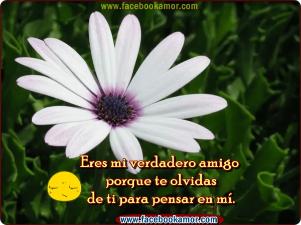 Imagenes Bonitas De Amistad Para Facebook - Mundo Imagenes Frases ... Imagenes Bonitas De Amistad Para Facebook - Mundo Imagenes Frases ...