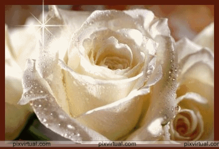 imagenes bonitas de amistad con movimiento y brillo - Buscar con ...