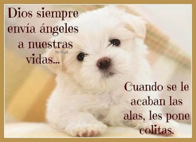 imagenes bonitas , amor , mensajes , frases , mensajes , cartas ... imagenes bonitas , amor , mensajes , frases , mensajes , cartas ...