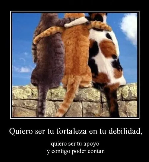 Imágenes de Amistad entre Animales con Frases | Imagenes para ...