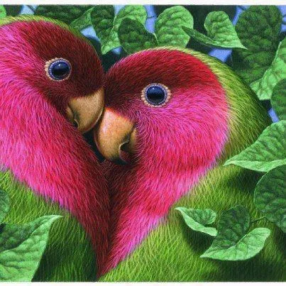 Imágenes Bonitas Animales - Vol.2 (20 Fotos) - Imagenes con Frases ... Imágenes Bonitas Animales - Vol.2 (20 Fotos) - Imagenes con Frases ...