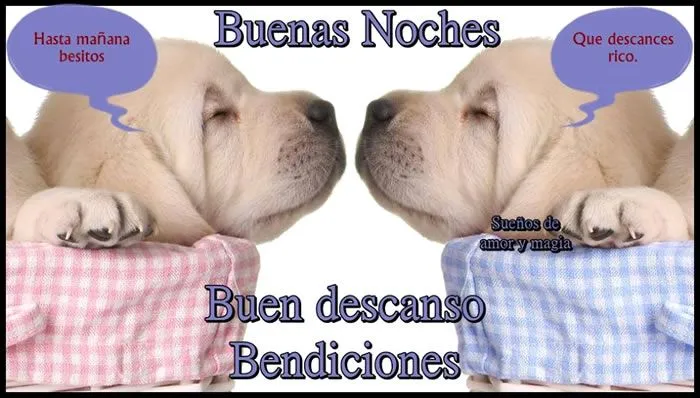 Imágenes Bonitas para Desear unas Buenas Noches, Feliz Noche ... Imágenes Bonitas para Desear unas Buenas Noches, Feliz Noche ...