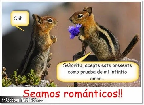 Imagenes Bonitas Con Frases De amor Para Descargar | imagenes de amor Imagenes Bonitas Con Frases De amor Para Descargar | imagenes de amor