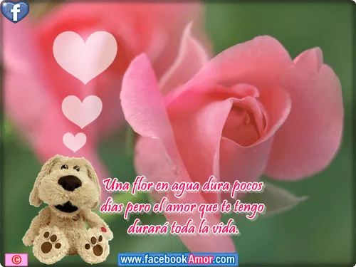 Imágenes bonitas con frases de amor para el facebook - Imágenes ... Imágenes bonitas con frases de amor para el facebook - Imágenes ...