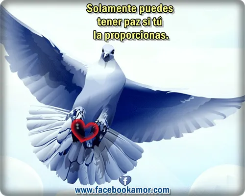 Imágenes bonitas con frases de facebook - Imágenes Bonitas para ... Imágenes bonitas con frases de facebook - Imágenes Bonitas para ...