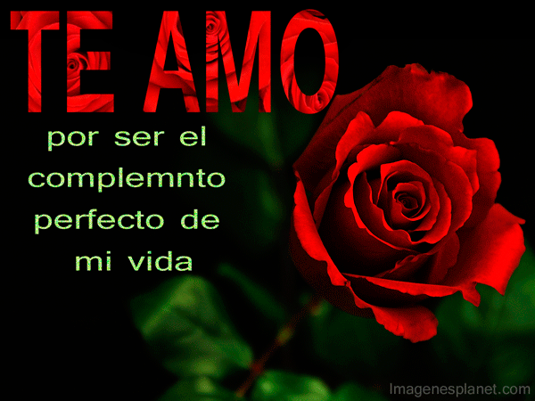 Ver imagenes bonitas con frases lindas de amor | Imágenes Tiernas ...