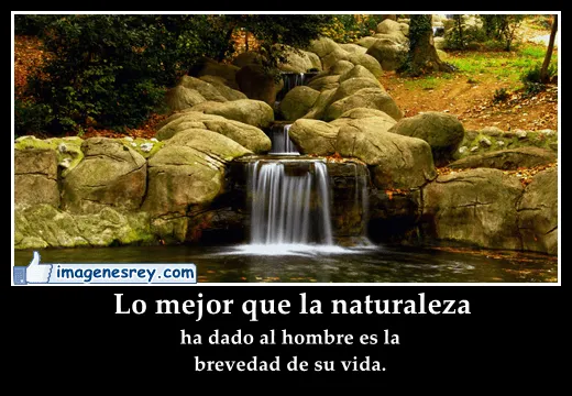 Imágenes bonitas con frases a la naturaleza para muro de facebook ...