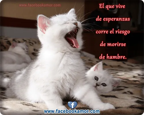 Imágenes bonitas con frases para reflexionar facebook - Imagenes ... Imágenes bonitas con frases para reflexionar facebook - Imagenes ...