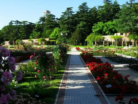 Imagenes bonitas con jardines de rosas (ideal para regalar ...