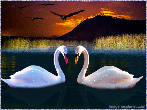 Imagenes bonitas con movimiento - Imagenes romanticas de amor para ... Imagenes bonitas con movimiento - Imagenes romanticas de amor para ...