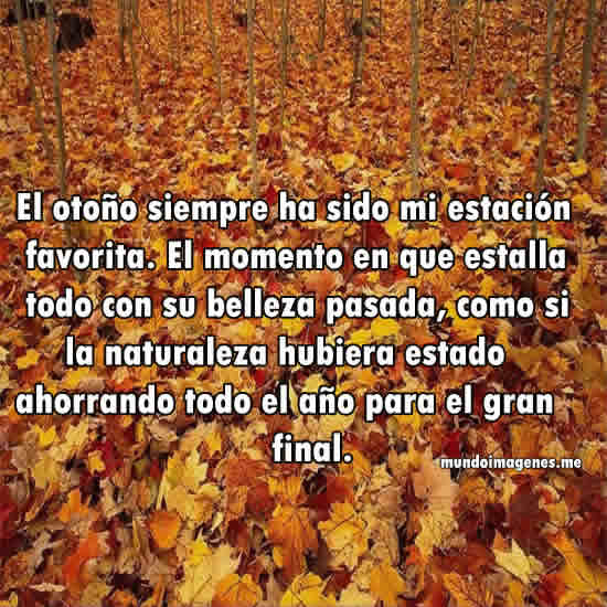 Imagenes Bonitas Para Recibir El Otoño - Mundo Imagenes Frases ...