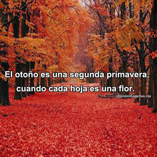 Imagenes Bonitas Para Recibir El Otoño - Mundo Imagenes Frases ...