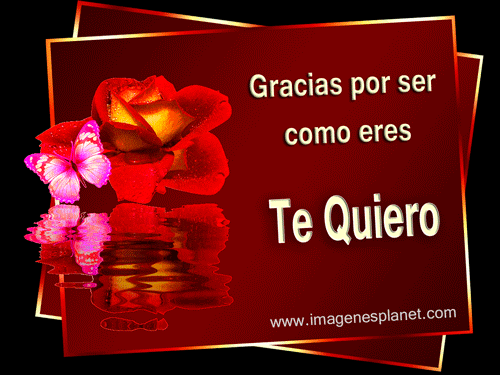 Imagenes bonitas de rosas animadas con frases de amor | Amor ... Imagenes bonitas de rosas animadas con frases de amor | Amor ...