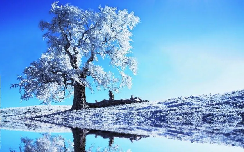 Imágenes de bonitos paisajes de invierno | Fotos Bonitas de Amor ...