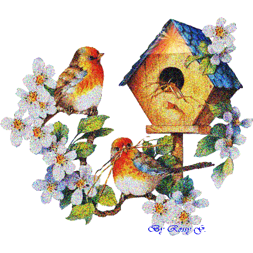 IMAGENES CON BRILLOS: PAJARITOS CON BRILLOS IMAGENES CON BRILLOS: PAJARITOS CON BRILLOS