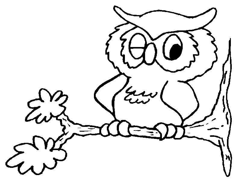 Buhos bebés para colorear - Imagui