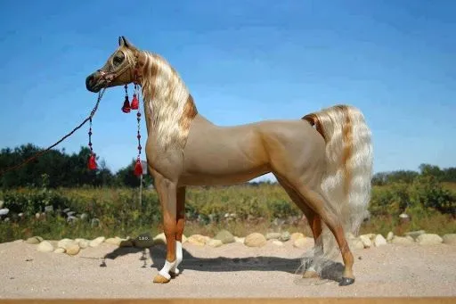 Imágenes de Caballos | BloggerGifs