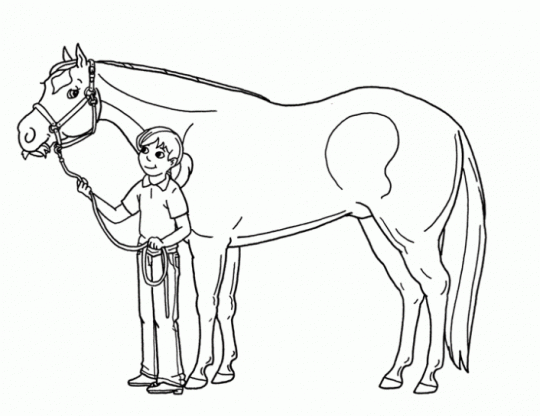 Imagenes-caballos-para- ...