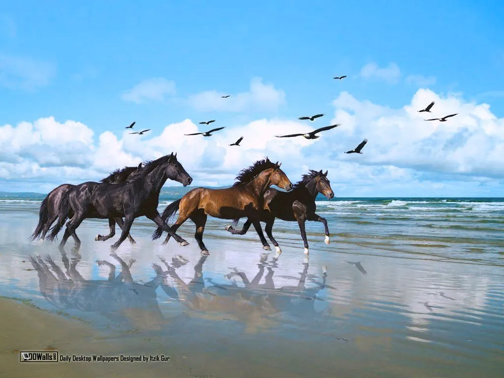 imagenes de caballos en la playa - Buscar con Google | Fotos ... imagenes de caballos en la playa - Buscar con Google | Fotos ...