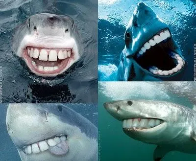 Imagenes cachondas XIX - Paperblog Imagenes cachondas XIX - Paperblog