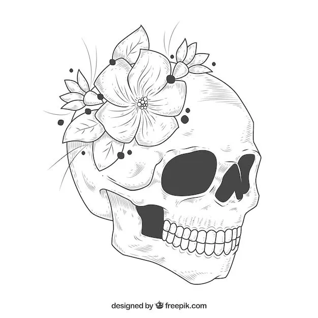 Imágenes de Calavera Dibujo - Descarga gratuita en Freepik Imágenes de Calavera Dibujo - Descarga gratuita en Freepik