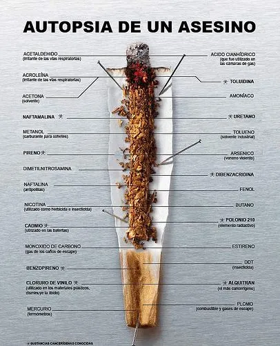 Imagenes de campañas (dile no al tabaco) - Taringa! Imagenes de campañas (dile no al tabaco) - Taringa!