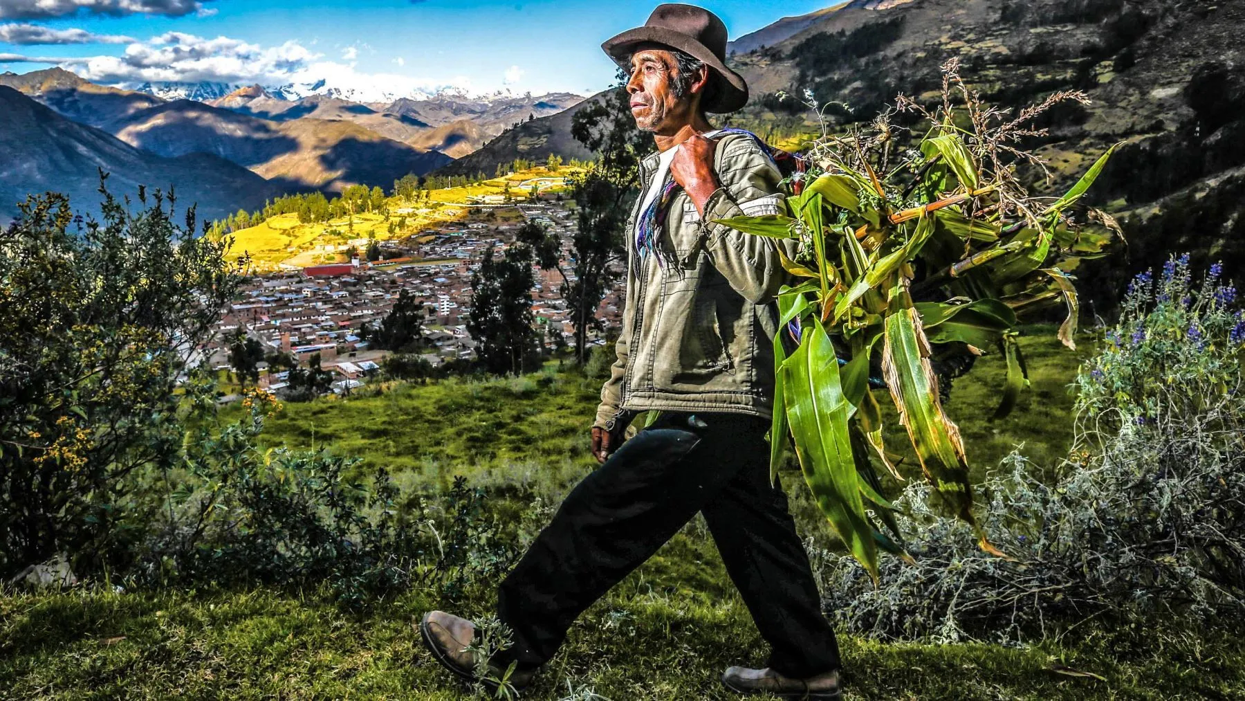 Imágenes por el Día del Campesino en Perú para dibujar y colorear este 24 de junio: los mejores dibujos y poemas para celebrar el dia del campesino | Fotos | Sociedad | La República Imágenes por el Día del Campesino en Perú para dibujar y colorear este 24 de junio: los mejores dibujos y poemas para celebrar el dia del campesino | Fotos | Sociedad | La República