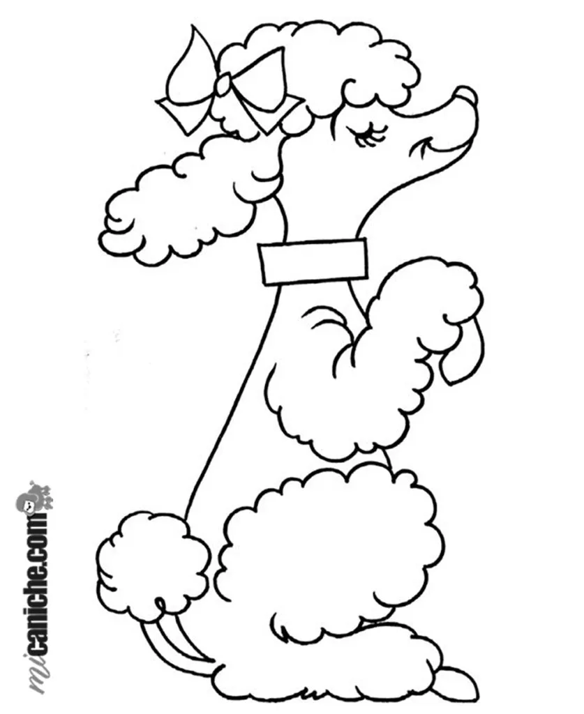 Imágenes de caniches para dibujar y pintar - Mi Caniche