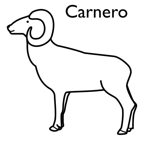 Pinto Dibujos: Carnero para colorear