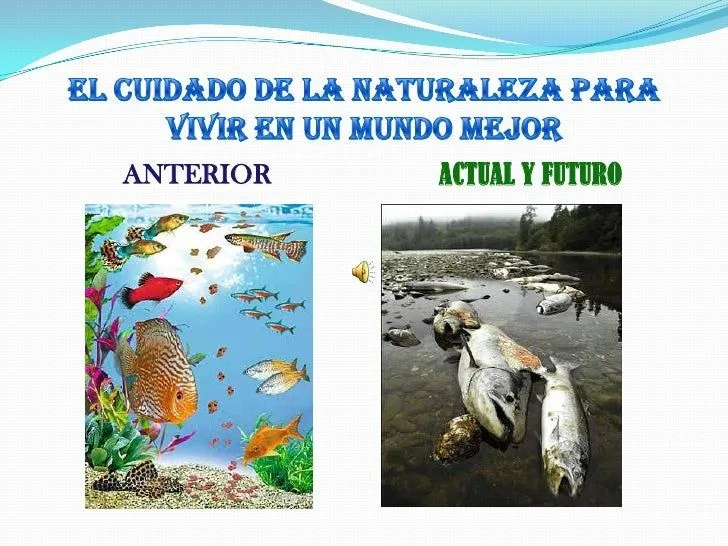 Carteles de cuidar la naturaleza - Imagui