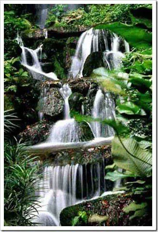 cuando fotografíes ríos o cascadas y el agua en movimiento ... cuando fotografíes ríos o cascadas y el agua en movimiento ...