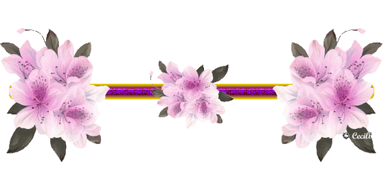 Imágenes de Cecill: Barritas Animadas de Flores Variadas Imágenes de Cecill: Barritas Animadas de Flores Variadas