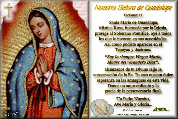 Gifs de oraciones: Oraciones a la Virgen de Guadalupe Gifs de oraciones: Oraciones a la Virgen de Guadalupe