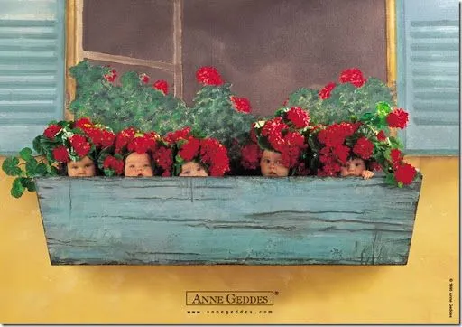 IMAGENES CELESTIALES: Fondos de Pantalla–Bebes de Anne Geddes