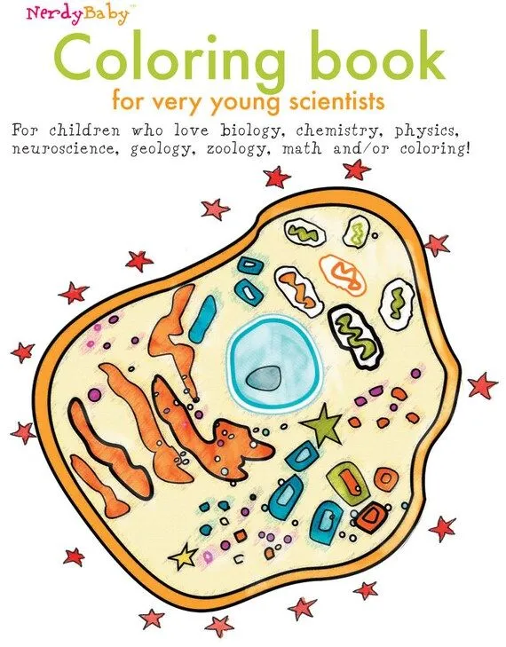 Imagenes de la celula para niños - Imagui