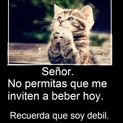 imagenes chidas chistosas / imagenes de todo tipo para descargar ... imagenes chidas chistosas / imagenes de todo tipo para descargar ...