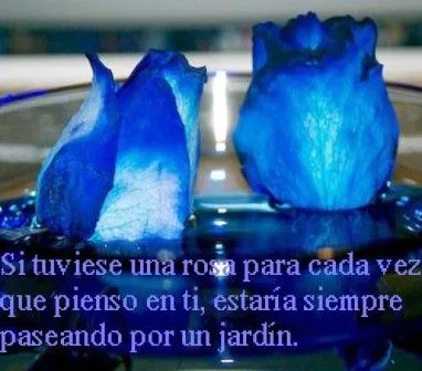 imagenes chidas | imagenes de amor con frases, fondo de pantalla, gif ... imagenes chidas | imagenes de amor con frases, fondo de pantalla, gif ...