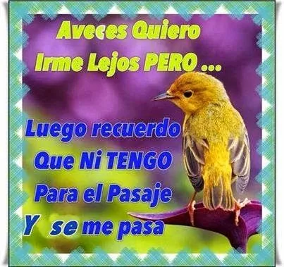 Imagenes chingonas graciosas , y de todo tipo para divertirse ... Imagenes chingonas graciosas , y de todo tipo para divertirse ...