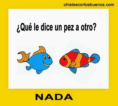 imagenes de chistes, imagenes de chistes cortos para tu whatsapp y ...